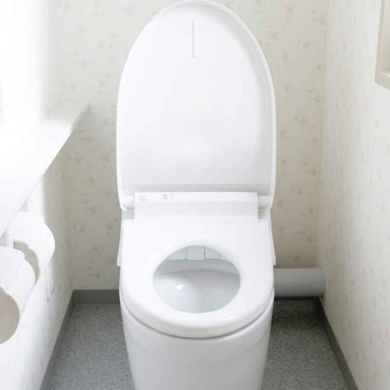 Toilet Not Flushing Fully