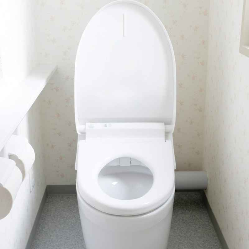 Toilet Not Flushing Fully