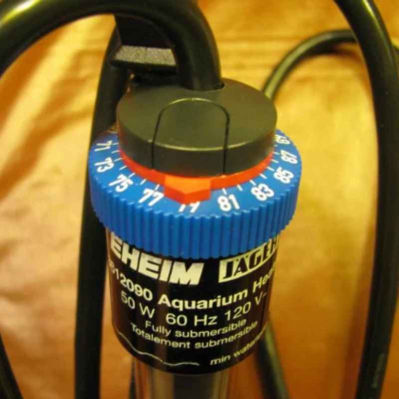 Understanding Aquarium Heater Submersion