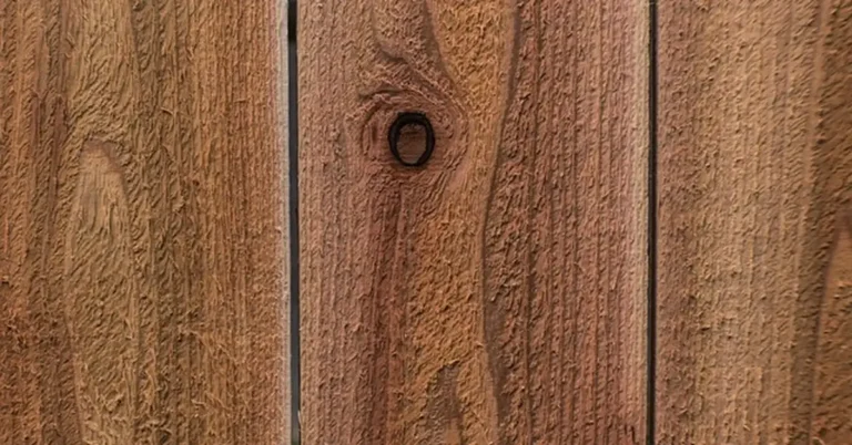 cedar wood plank texture with knot
