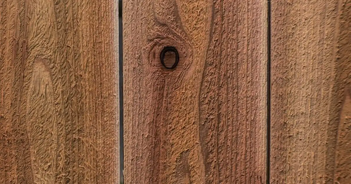 cedar wood plank texture with knot