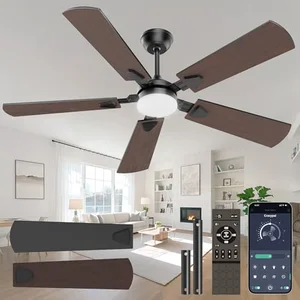 Ceiling fan with LED light and remote control compatible with a downrod mount