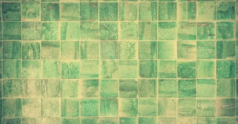 Worn ceramic tile with discolored unsealed grout lines needing a deep clean