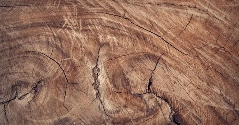 Close-up of rich brown dark wood grain texture with natural knots