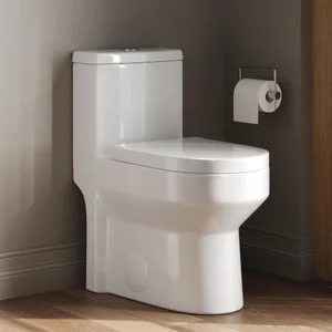 DeerValley compact one piece toilet dual flush
