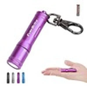 EverBrite keychain LED flashlight mini bright