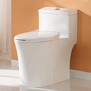 HOROW one piece toilet ADA chair height dual flush
