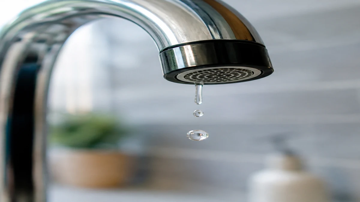 Faucet nozzle and aerator gasket inspected for a drip at the spout tip