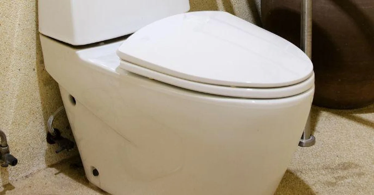 Modern low flush toilet installed in a bathroom