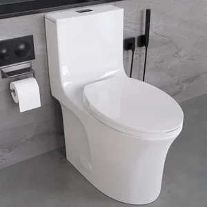 Modern one piece dual flush toilet white