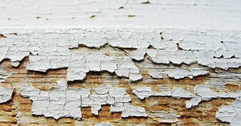 Close-up of old cracked and peeling paint on a wood surface ready for removal