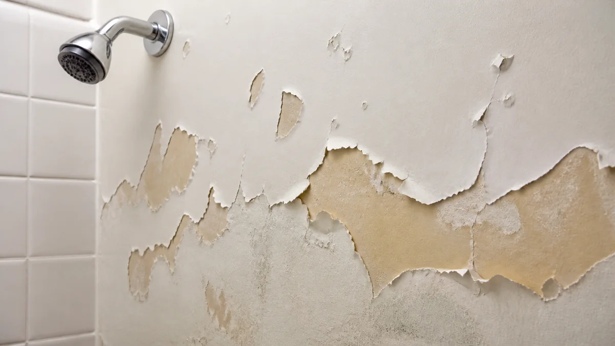 Bathroom shower wall with peeling paint and a ventilation fan used to reduce lingering moisture