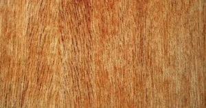 Does Plywood Break Easily? Direction, Grade, Voids, and Support