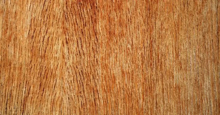 Close-up of plywood sheet wood grain texture used for bending into a ramp shape