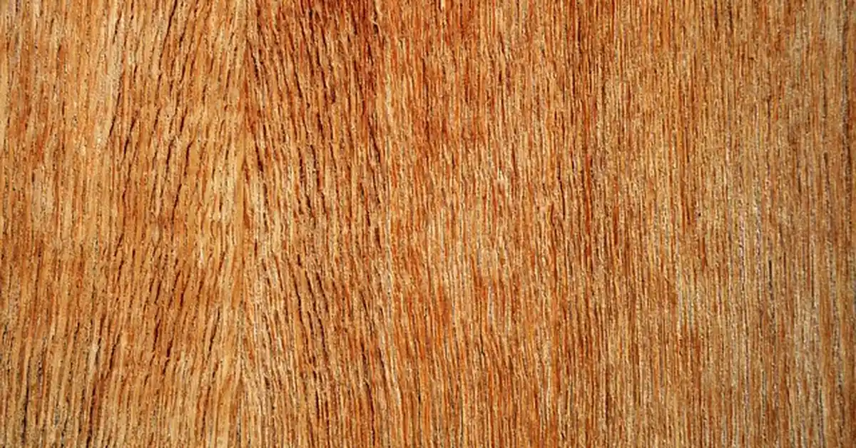 Close-up of plywood sheet wood grain texture used for bending into a ramp shape
