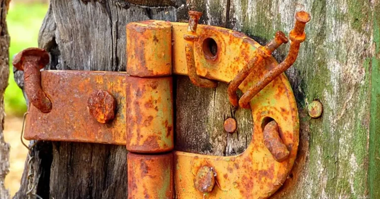 Rusty metal hinge mounted on a wood door frame with screws