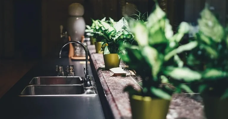 Stainless steel double basin kitchen sink installed in a countertop