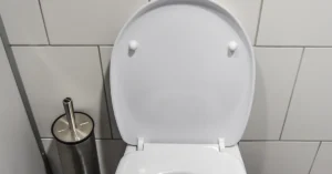 Toilet Will Not Drain? Safe Checks for a Bowl Clog, Trapway Blockage, or Deeper Drain Problem