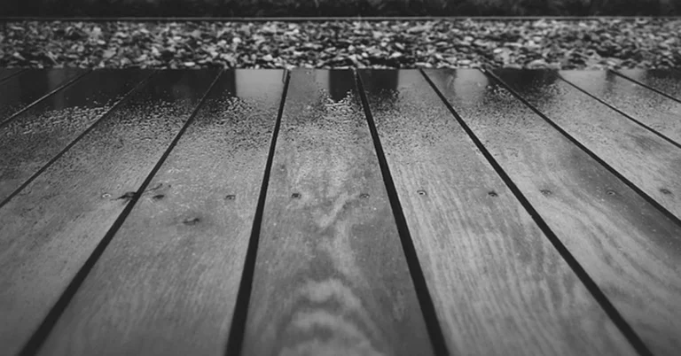 Wet pressure treated wood deck boards ready for cleaning