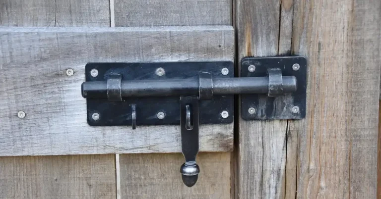 Black deadbolt lock installed on a wood exterior door