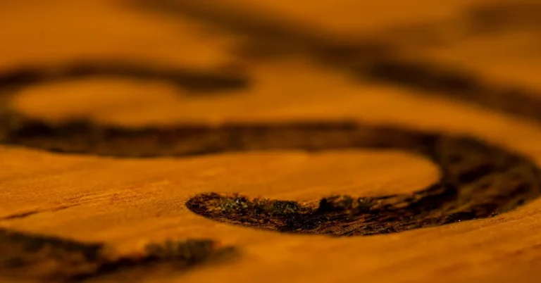 Dark wood stain tinted and soaked into a wood surface