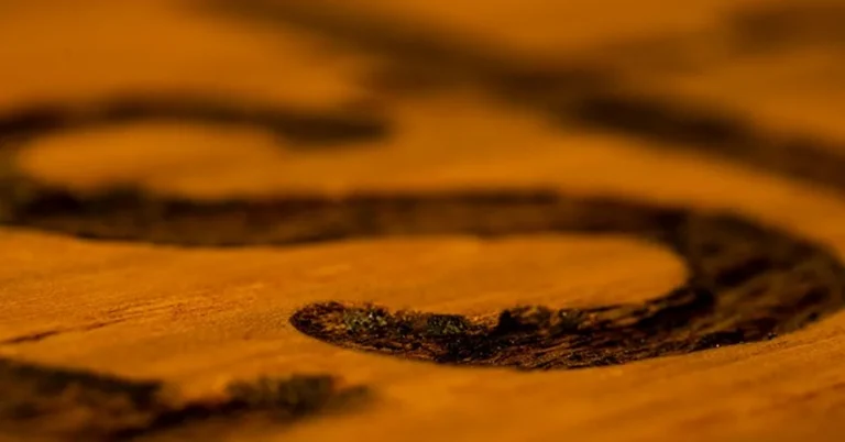 Close-up of dark wood stain and varnish finish applied to a wood surface