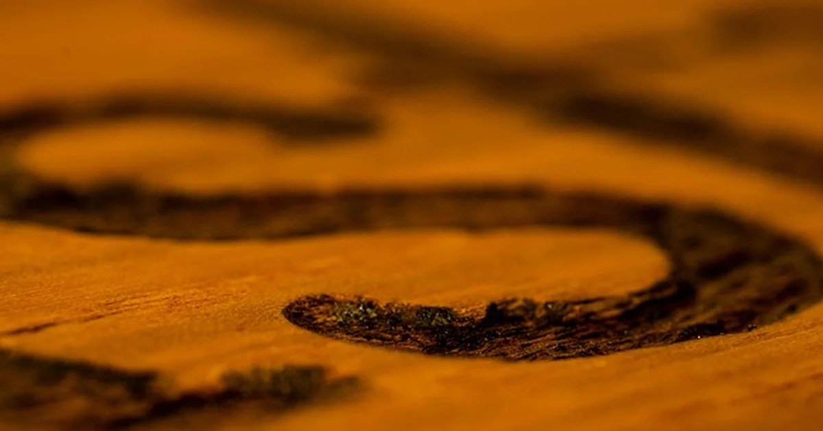 Close-up of dark wood stain and varnish finish applied to a wood surface