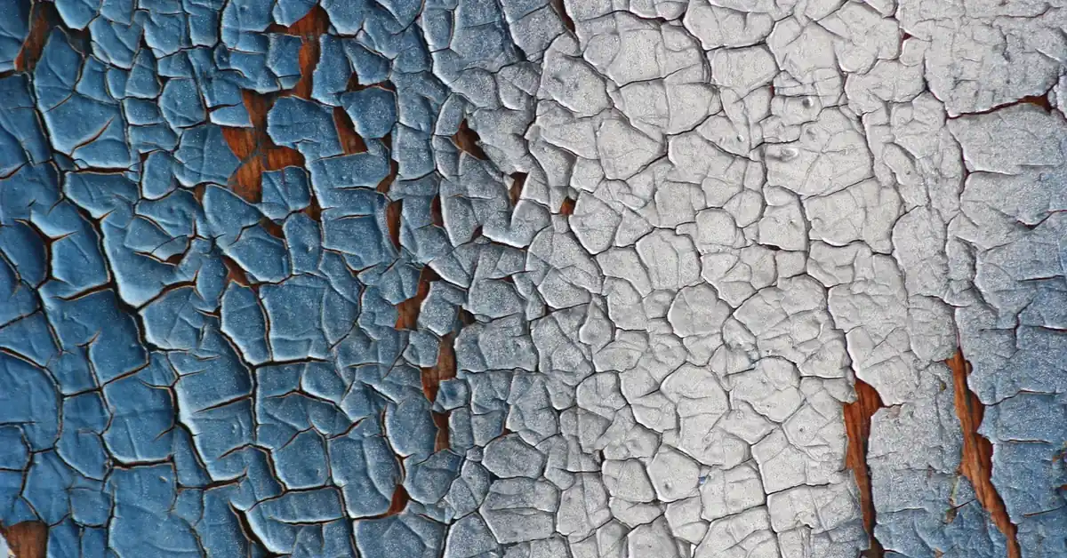 Wall paint bubbling and peeling from moisture damage