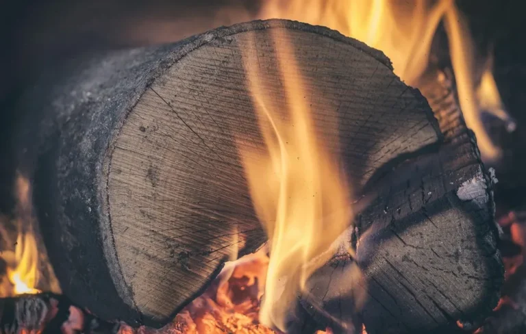 Gas Fireplace Versus Wood Burning Fireplace: Essential Choice
