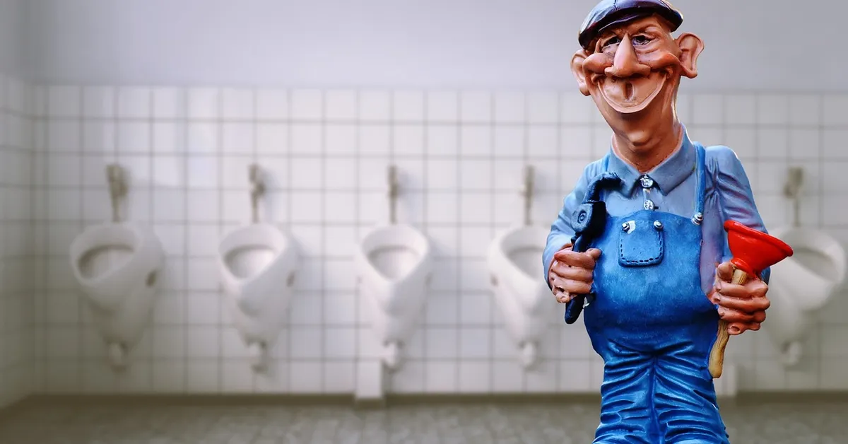 Toilet flush repair related to Toilet Flush Won't Stop