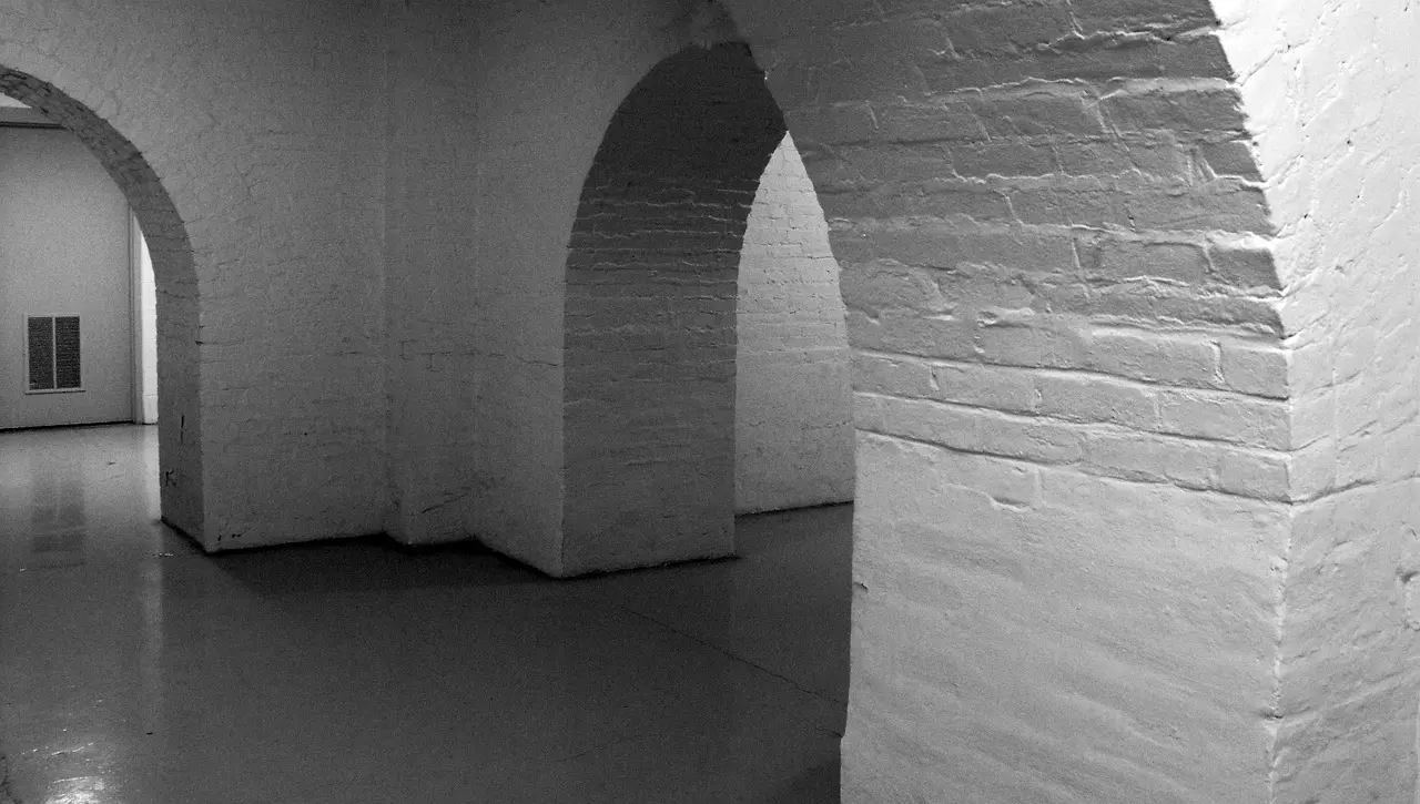 What is the best waterproofing product for concrete basement walls?