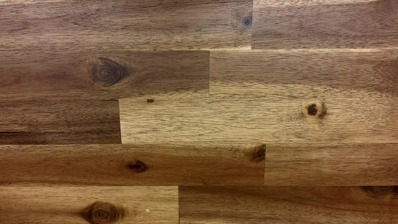 Homeowner compares laminate underlayment options on a wood subfloor beside open flooring planks