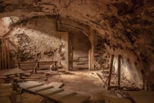 Best Underlayments for Moisture-Prone Basements: we compared