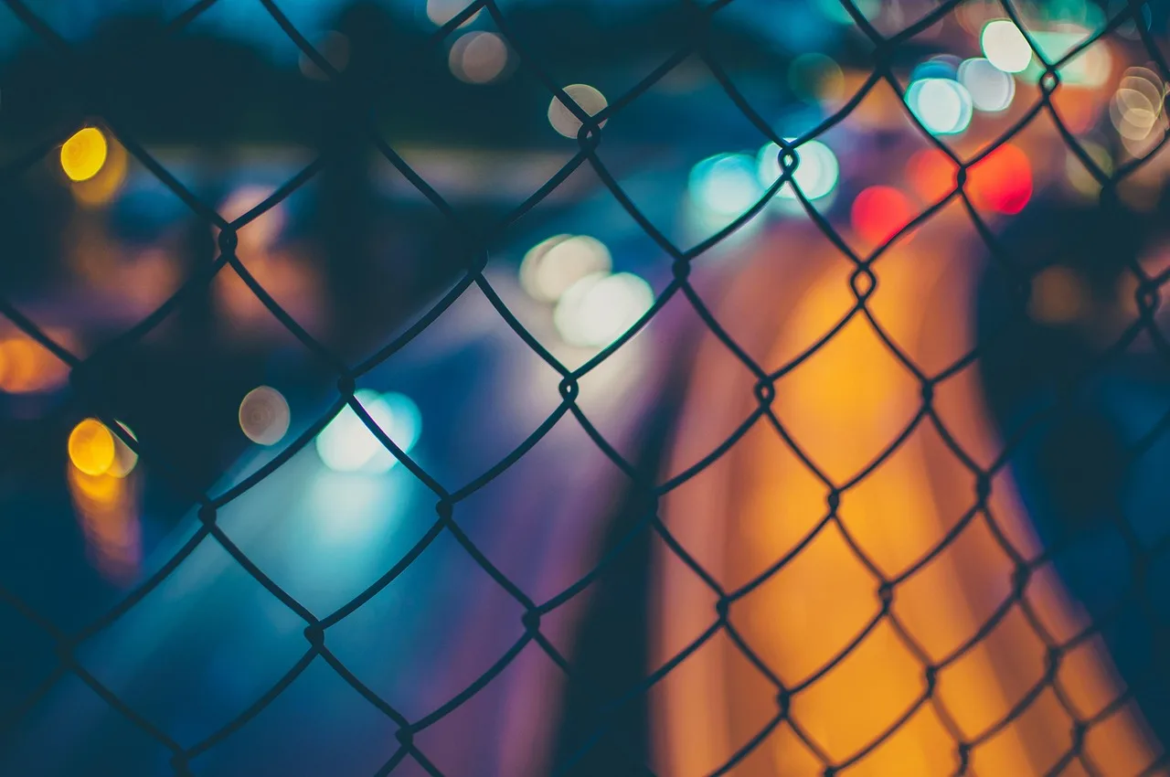 Chain link fence gate with post, hinge straps, and latch aligned in a sunny yard