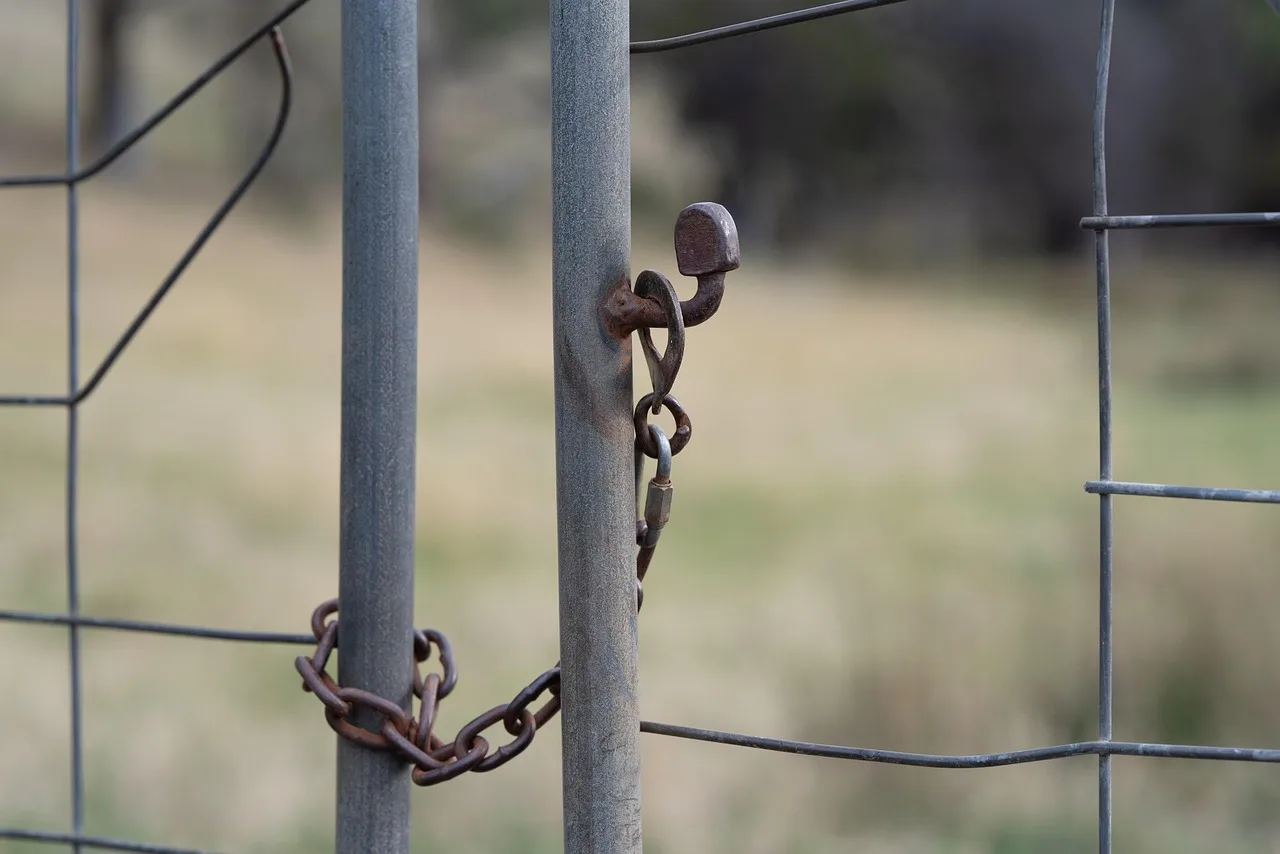 Wooden gate with a metal latch on a slightly out-of-plumb post in a backyard