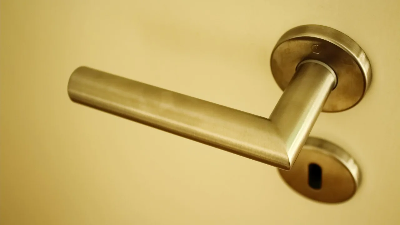 Best Security Hardware for Double Front Doors shown on a secure front entry with reinforced locks and frame upgrades