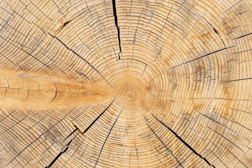 Is engineered wood better than solid wood in a basement?
