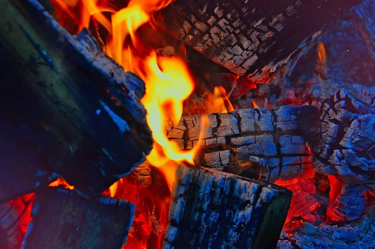 What is the best wood to burn for firewood if I want the most heat?