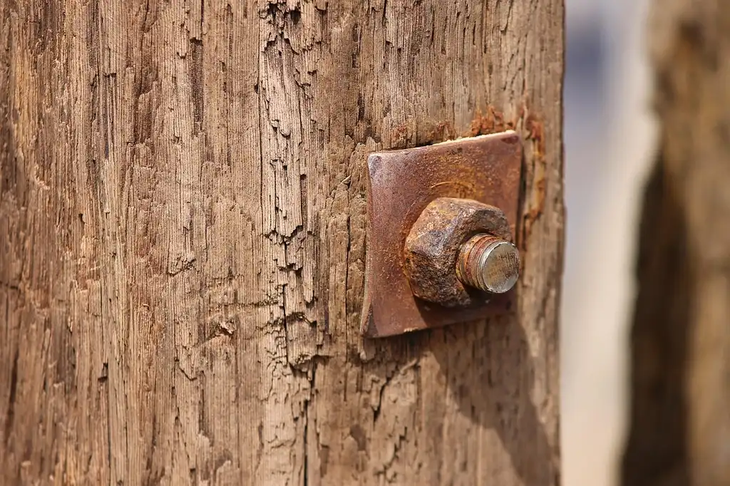 When can you use a drywall screw in wood?