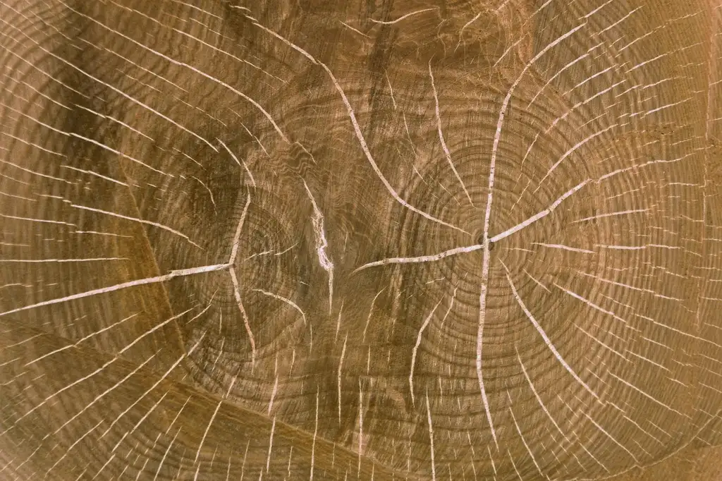 Epoxy wood filler vs wood filler: the core trade-off