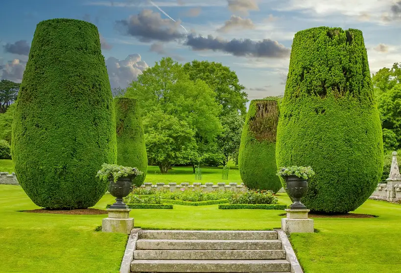 What are faux boxwood fillers used for?