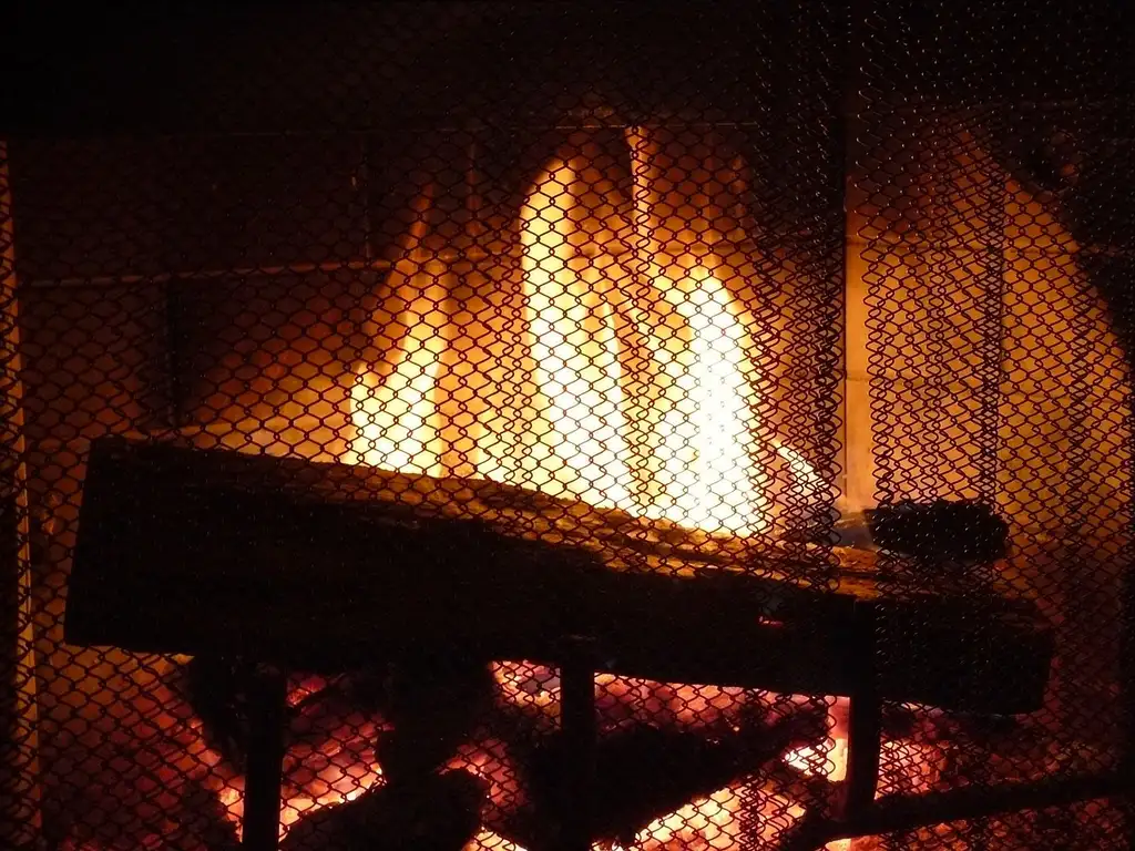 Fireplace door and mesh screen in a living room with glowing embers behind them