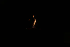Fireplace Safety Screen vs. Gate: Which Is Safer?