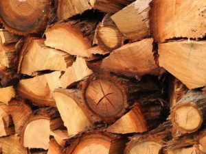 Firewood and Wood Burning Guide: Choose, Check, Burn