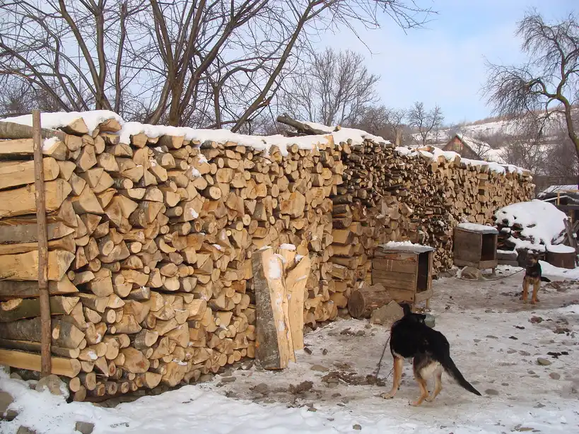Close-up of a moisture meter testing a split log for the firewood and wood burning guide
