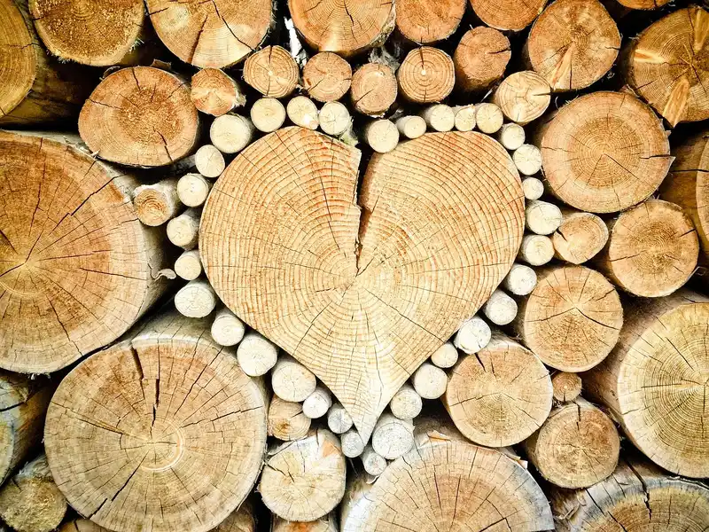 How can you tell if firewood is seasoned or still green?