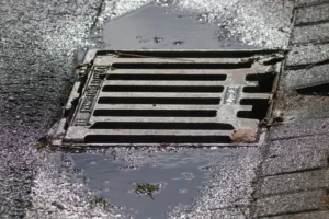 Which Gutter Guards Work Best for Leaves, Pine, and Ice?