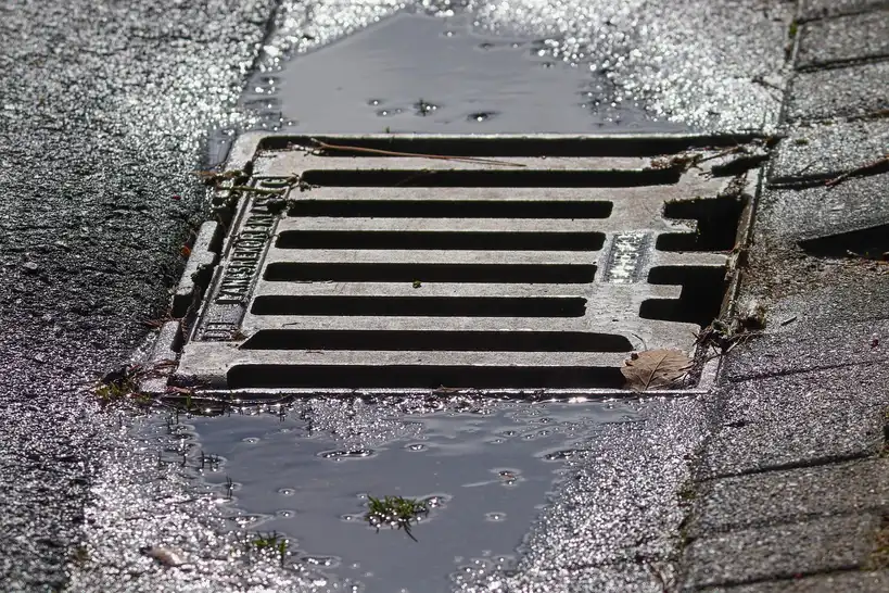 Homeowner inspecting a gutter guard with leaves, pine needles, and frost on a house gutter