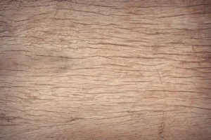 Hardwood vs softwood for woodworking: choose by project