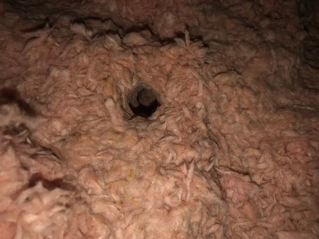 Hand measuring attic insulation depth beside exposed joists and blown-in insulation.